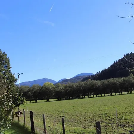 Appartement Im Weingewoelbe Staufen im Breisgau